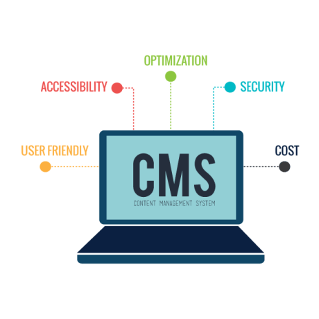 Website Design Auckland