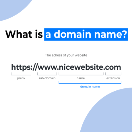 Website Design Auckland