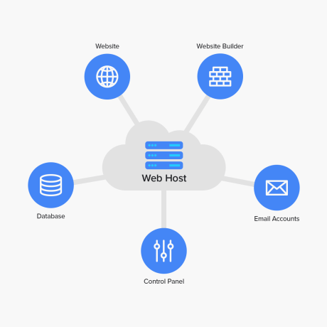 Website Design Auckland